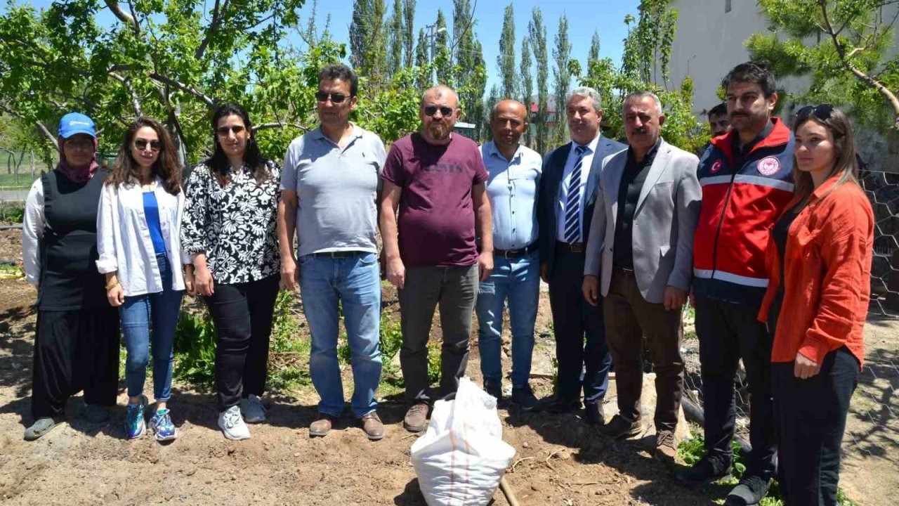 Niğde’de üreticilere 33 bin adet salep yumrusu dağıtıldı