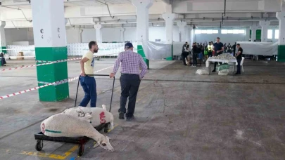 Bayram huzuru Tepebaşı’nda