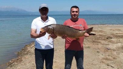 Beyşehir Gölü'nde Dev Sazan Balığı Şaşkınlık Yarattı: 17 Kilo Geldi!