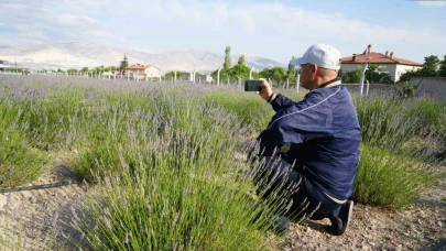 Köyde ’lavanta bahçesi’ turizmi