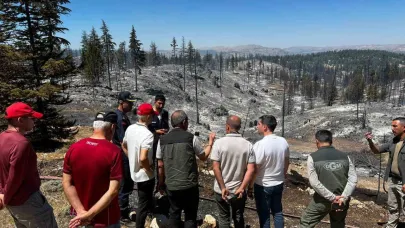 Vali Mehmet Fatih Çiçekli: "Yangın tamamen kontrol altına alındı"