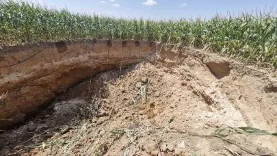 Mısır tarlasında 15 metre genişliğinde obruk oluştu