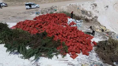 Karaman’da tonlarca kuru soğan boş araziye atıldı