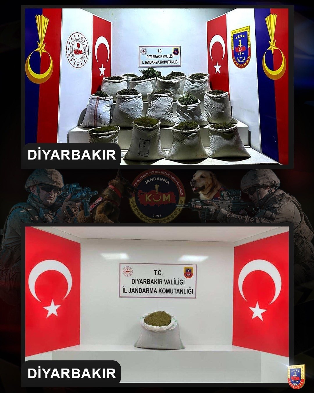 Diyarbakır'da 2 milyon 425 bin kök kenevir ve skunk bitkisi ele geçirildi-1
