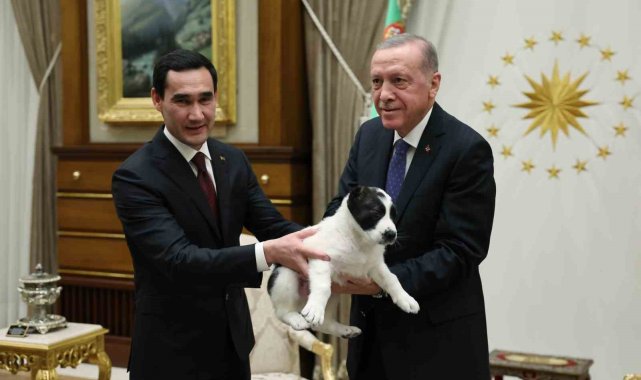 2023/10/cumhurbaskani-erdogan-ve-turkmenistan-devlet-baskani-berdimuhammedov-birbirlerine-kopek-hediye-etti.jpg