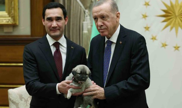 2023/10/cumhurbaskani-erdogan-ve-turkmenistan-devlet-baskani-berdimuhammedov-birbirlerine-kopek-hediye-etti_2.jpg