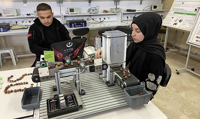 Yapay zeka teknolojisiyle fındık türlerinin sınıflandırılması sağlanacak