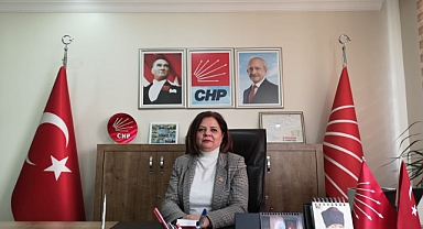 CHP Karaman İl Başkanı Yıldız Oldu