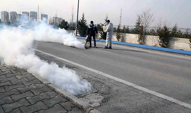 Talas'ta sinek ve haşerata erken önlem