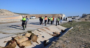 Karaman'da iki motosiklet koyun sürüsüne çarptı: 3 yaralı