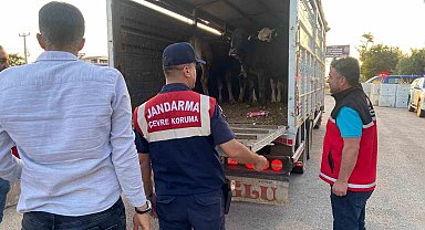 Aksaray'da sivil jandarmalar kurban teyakkuzunda