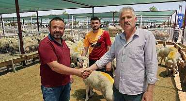 "Talas Kurban Pazarı'nda büyük bir hizmet yapılmış"