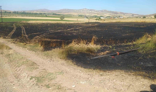 Sivas'ta tarla yangınında 50 dönüm ekili alan kül oldu