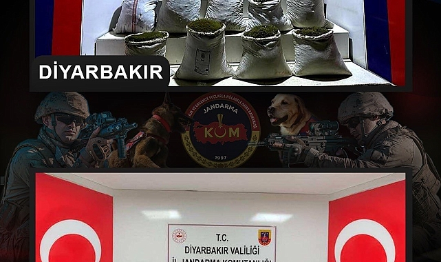 Diyarbakır'da 2 milyon 425 bin kök kenevir ve skunk bitkisi ele geçirildi