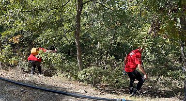 12 yıl önce öldürüldüğü ortaya çıkan kadının cesedini bulmak için çalışma başlatıldı