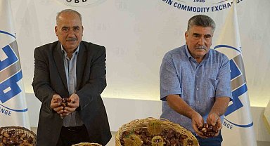 Aydın'da sezonun ilk kestanesi 350 TL'den alındı