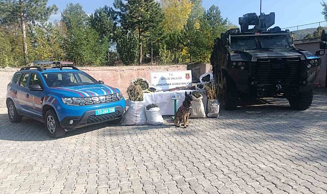 Bitlis'te 28 kilo 560 gram kubar esrar ve 2 kilo 380 gram esrar tohumu ele geçirildi