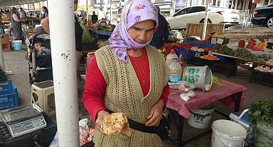 Çıntarlar pazar tezgahlarında yerini aldı