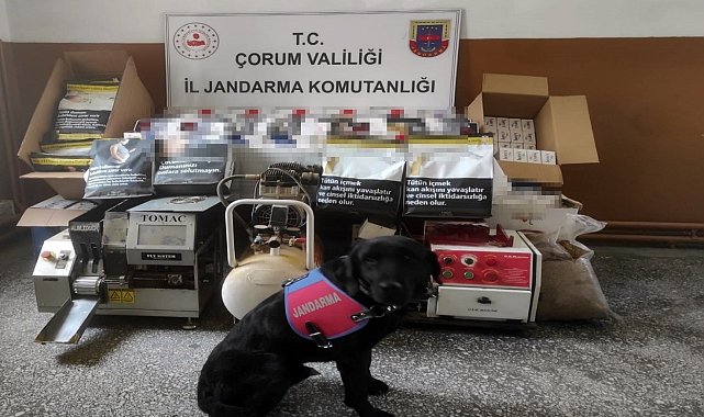 Çorum'da kaçak sigara operasyonu
