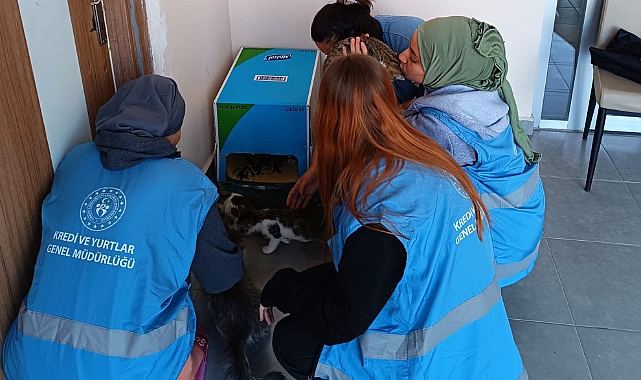 GSB KARAMAN YURDU ÖĞRENCİLERİ KIŞ ÖNCESİ SOKAK HAYVANLARI İÇİN BARINAK YAPTI