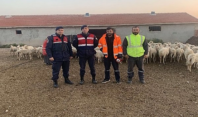 Kaybolan 200 küçükbaş hayvan 6 buçuk saat sonra bulundu
