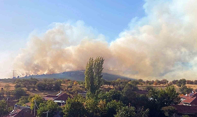 Ormana sıçrayan yangın kontrol altına alındı