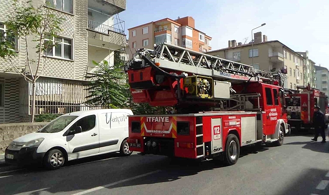 Yangında onlarca güvercin telef oldu