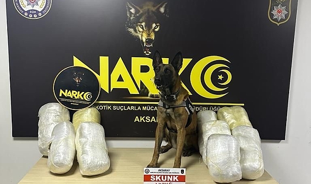 Aksaray Operasyonu: Narkotik Köpek Bixi ile Yakalanan 22 Kilo Skunk, Detaylı Araştırma