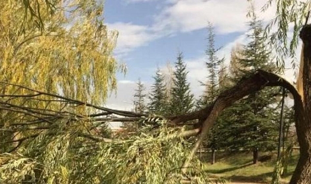 Nevşehir'de çatılar uçtu, ağaçlar devrildi