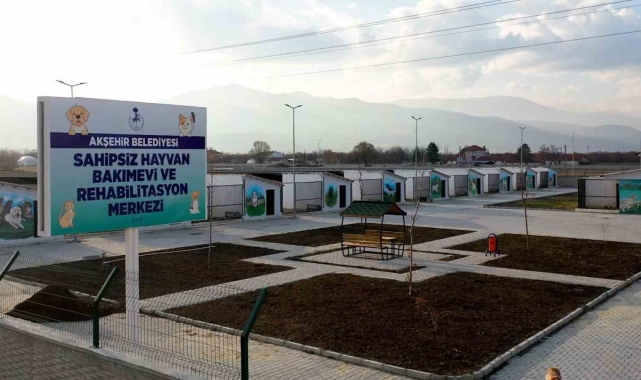 Başkan Akkaya: "Sokak hayvanları için çözüm odaklı adımlar atıyoruz"