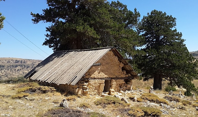 Karamanoğulları Beyliği'nin kurucusu NUREDDİN BEY (NUREDDİN SUFİ)