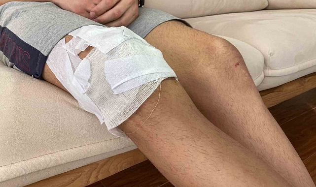 Köpek saldırısına uğrayan çocuğun ailesi, Çankaya Belediyesine dava açmaya hazırlanıyor