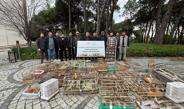 Yasa dışı yakalanarak ticareti yapılan 902 kuş doğaya salındı