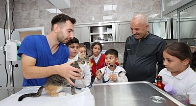 Gebze'de 10 bin 939 yaralı ve hasta hayvanın tedavisi yapıldı