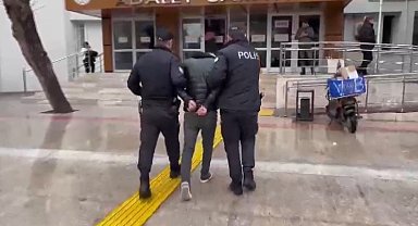 Kedi katili tutuklandı