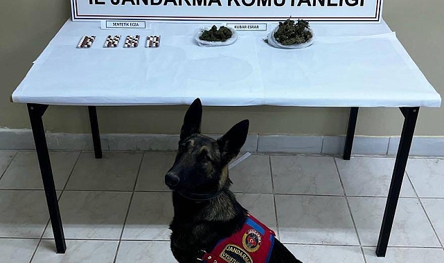 Narkotik köpeği ile arama yapılan araçta uyuşturucu ele geçirildi