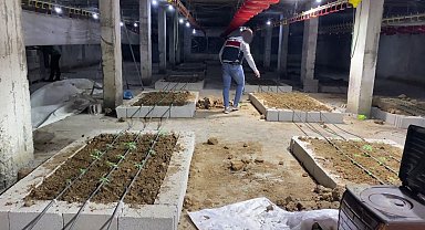 Tavuk çiftliğine uyuşturucu operasyonu: 1 şüpheli tutuklandı
