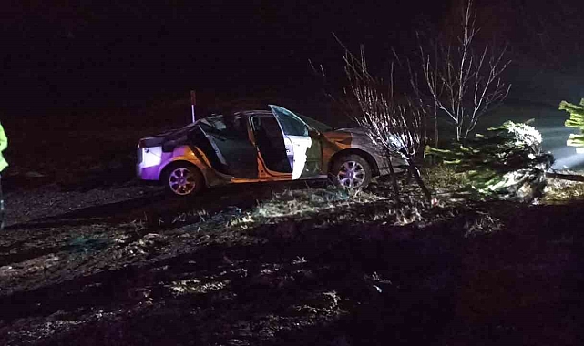 Yağmurda kayganlaşan yol kazaya neden oldu: 3 kişi yaralı