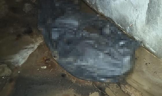 Çatalca'da korkunç cinayet