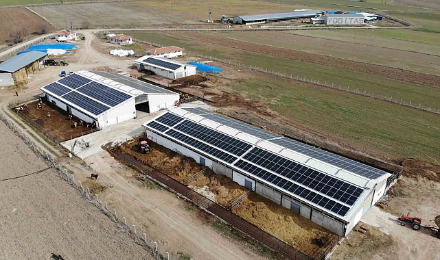 Devlet desteğiyle kurduğu büyükbaş hayvan çiftliğinin elektrik giderlerini GES ile karşılıyor