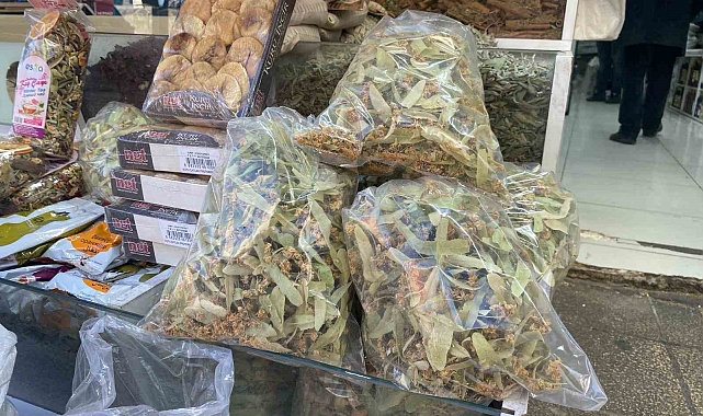 Ihlamurun kilosu 600 TL