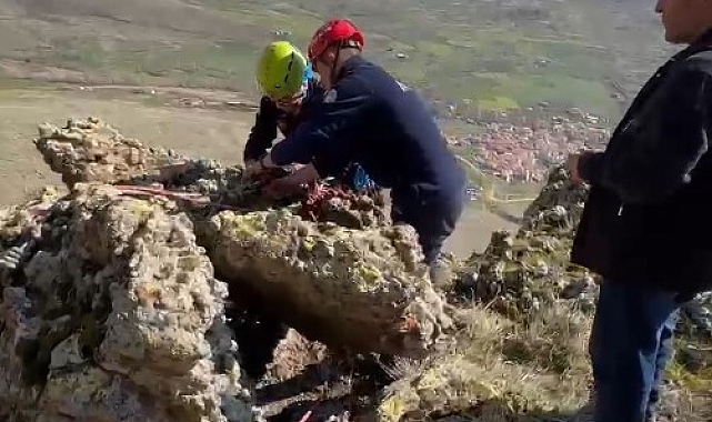 İtfaiyeden nefes kesen hayvan kurtarma operasyonu