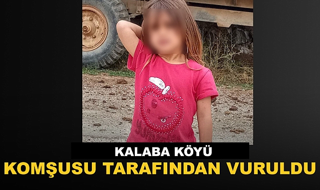Karaman'da Komşu Cinayeti : 6 Yaşındaki Raziye Yaşamını Kaybetti