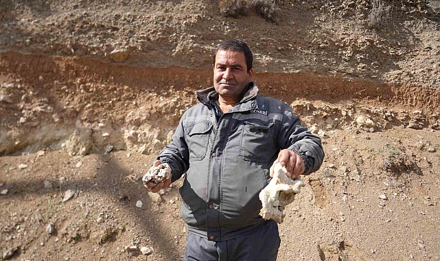 Niğde'de dinozor fosili iddiası