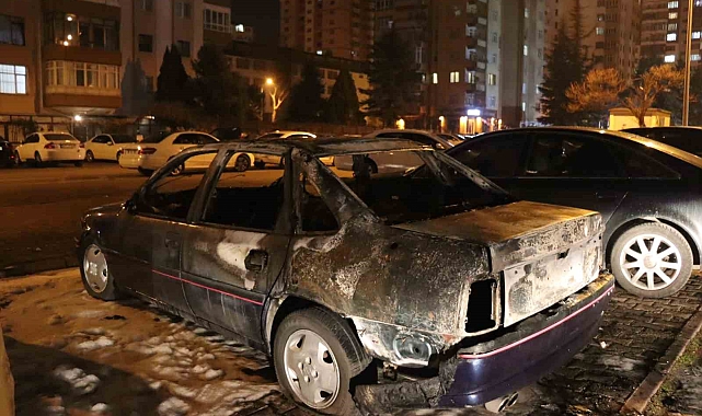 Park halindeki otomobil cayır cayır yandı