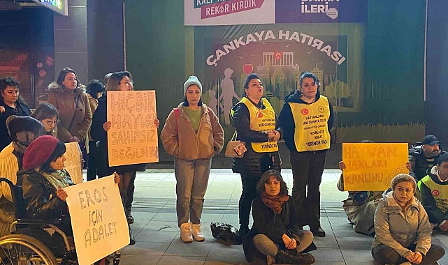 'Eros' isimli kediyle ilgili davadan çıkan karara tepki