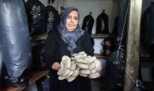 'Bebek gibi bakımlarını yapıyorum' diyen kadın 5 metrekare alanda mantar üretiyor