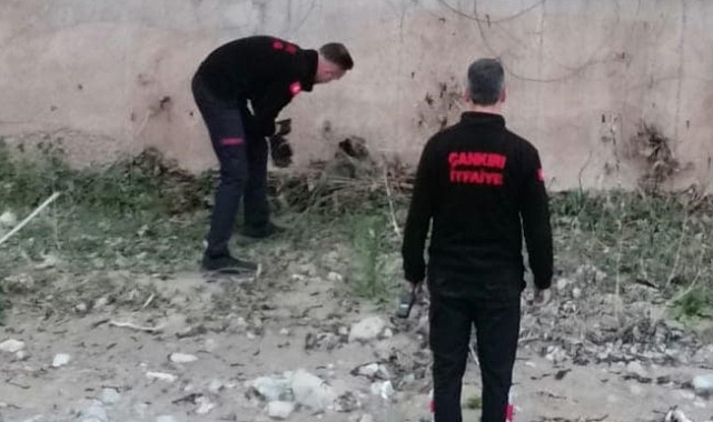 Çaya düşen yavru köpek kurtarıldı