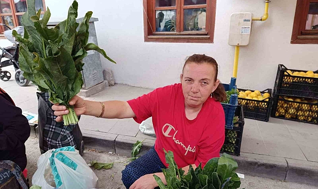 Dere kenarlarında ve sulak çayırlarda topladığı 'Labada' bitkisini pazarda satıyor