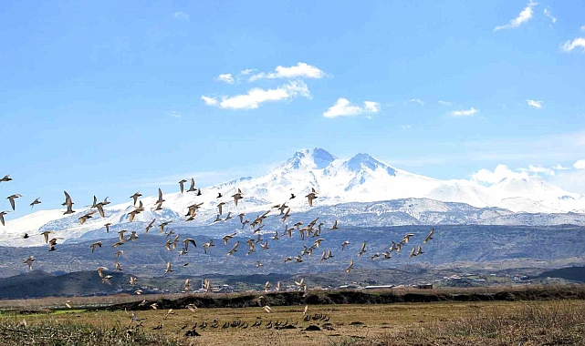 Doğal kuş cenneti baharı müjdeliyor